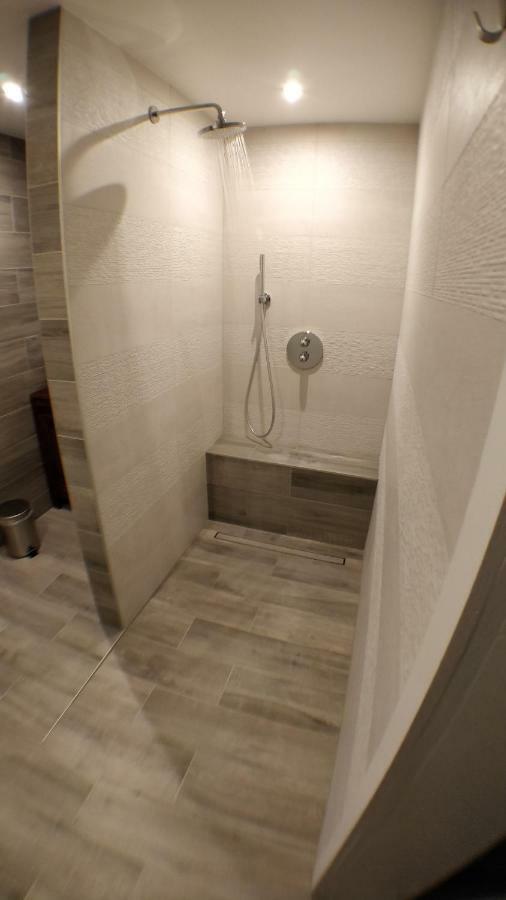 Maison Des Ecluses Strasbourg F3 90M2 Jacuzzi Climatisation المظهر الخارجي الصورة
